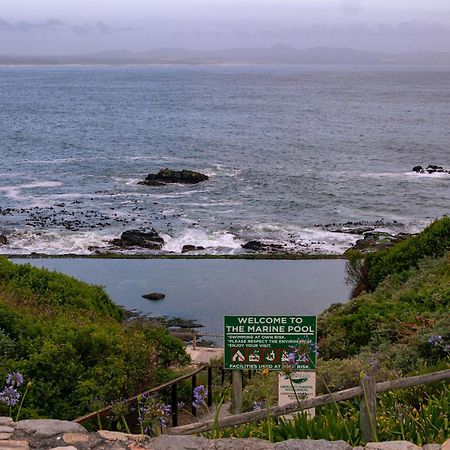 Goozi Garden Cottage Hermanus Eksteriør bilde